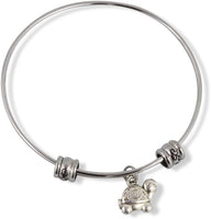 Turtle ( Cartoonish looking at you ) Fancy Bangle
